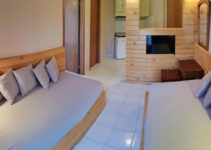 Hotel apartamentowy Anemos