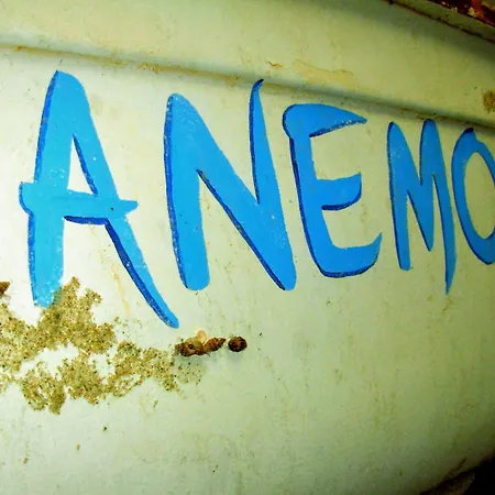 公寓式酒店 Anemos 3*