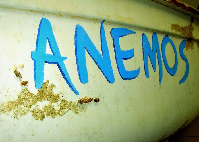 公寓式酒店 Anemos 3*