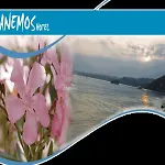 Anemos 3* Políhrono